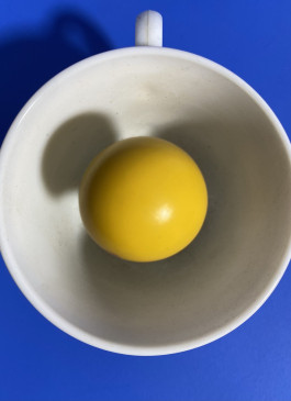 GAL MACLEAN MITCHELL